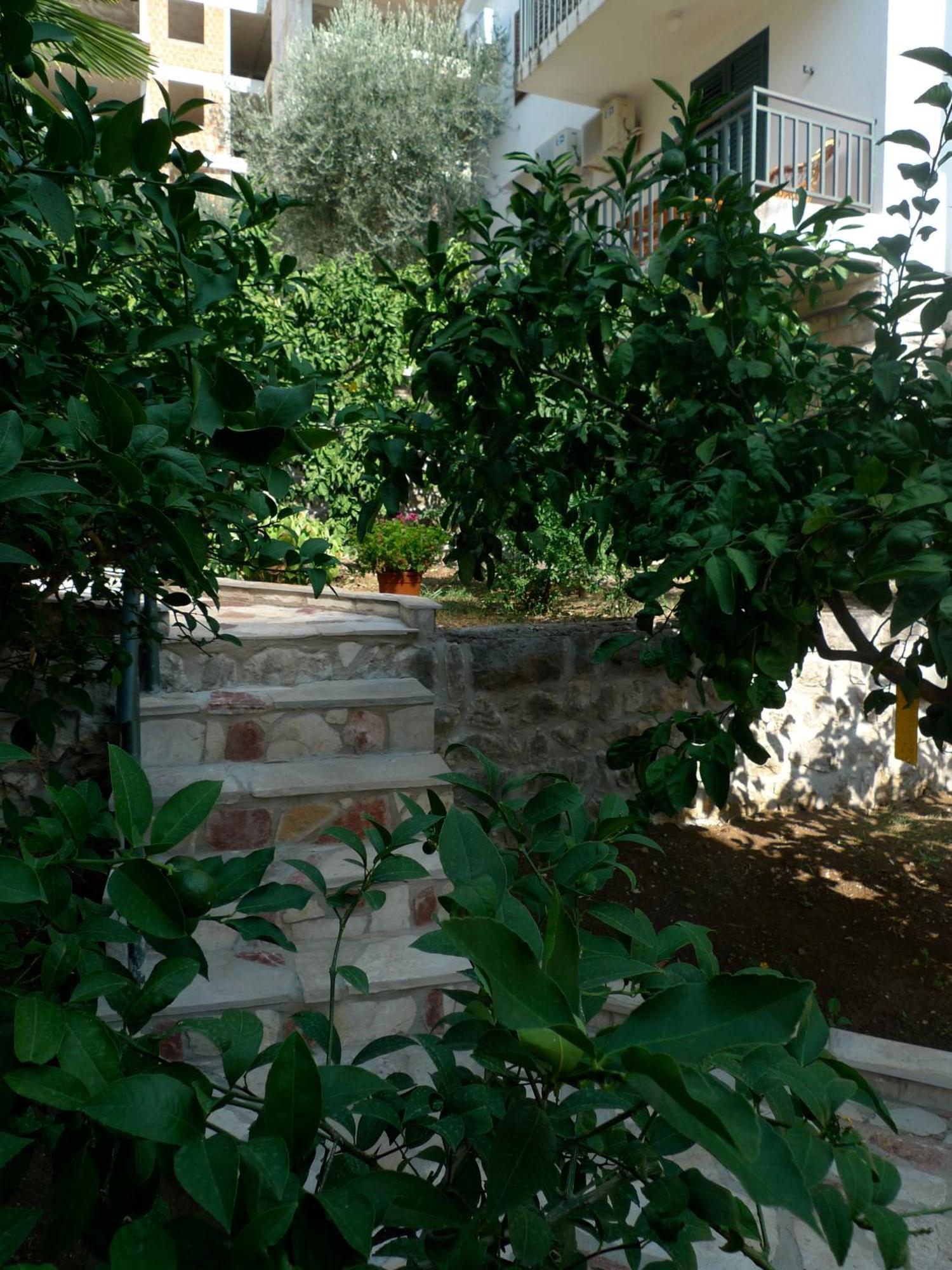 Apartments Maslina Sveti Stefan Exterior foto